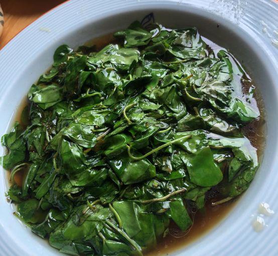 石莼菜和海菜的区别太湖四叶菜莼菜怎么读海莼菜怎么做好吃泉水河菜